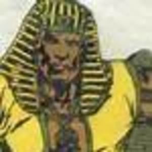 Meet your Posher, Guy